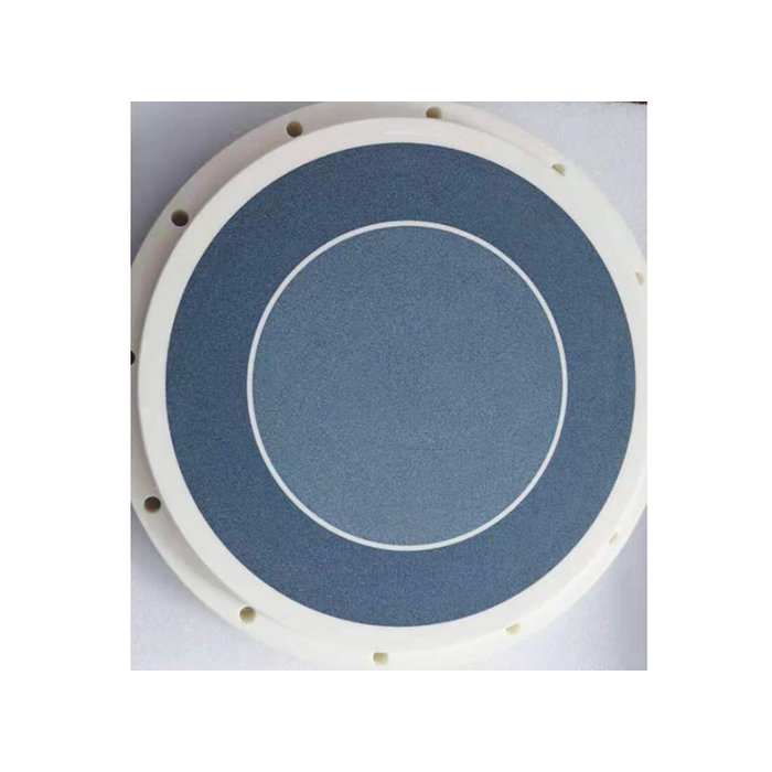 Wafer Grinding Chuck DGP8761