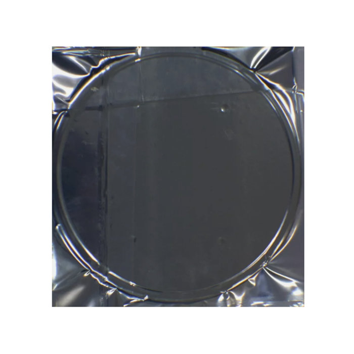 Applied Materials AMAT 0200-36631 Dimpled Cover Plate, AlN 200mm