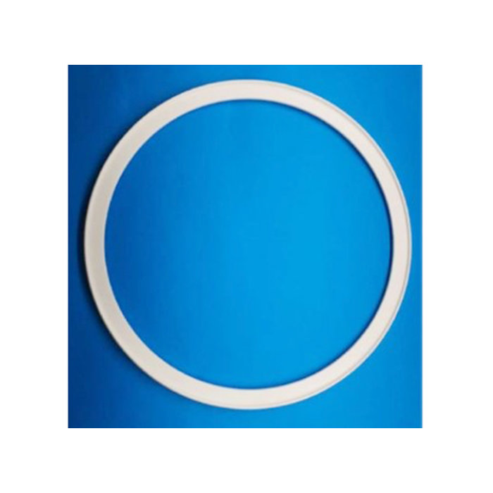 716-065573-004 PEZ RING LOWER CORONUS 300MM Y2O3