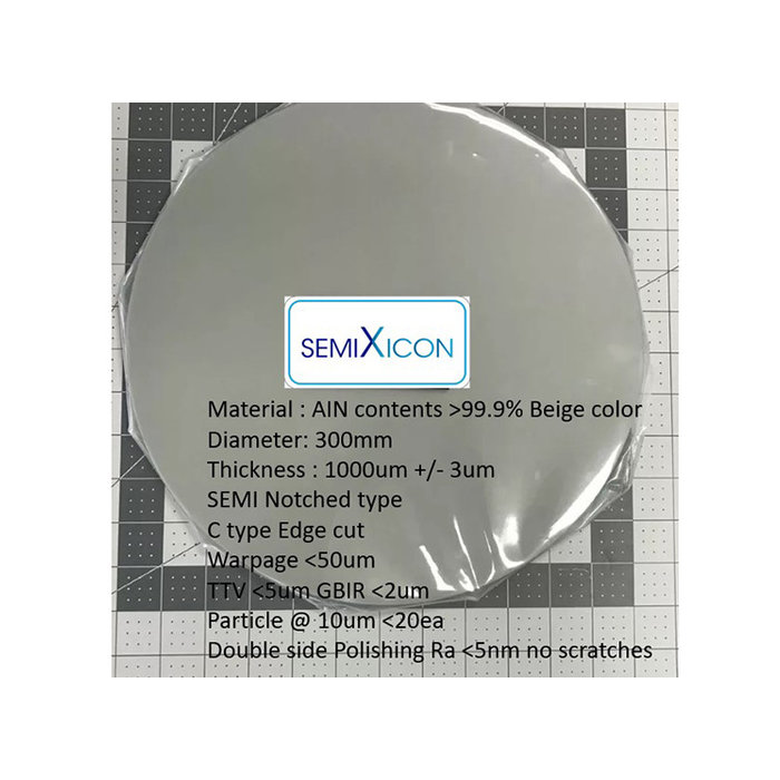 12 inch 300mm AlN (Aluminum Nitride) Wafer Carrier