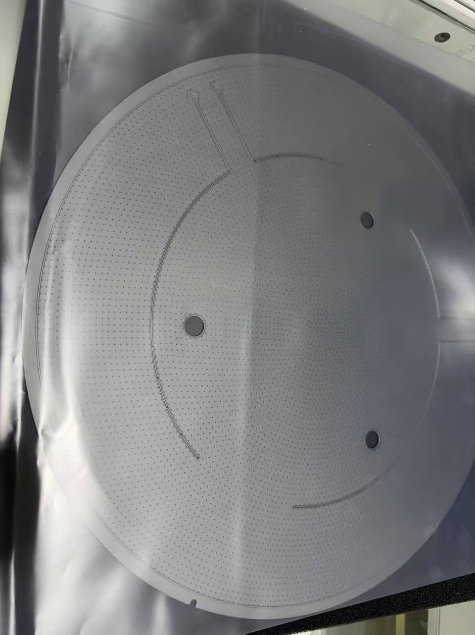 Silicon Carbide SiC pin chuck