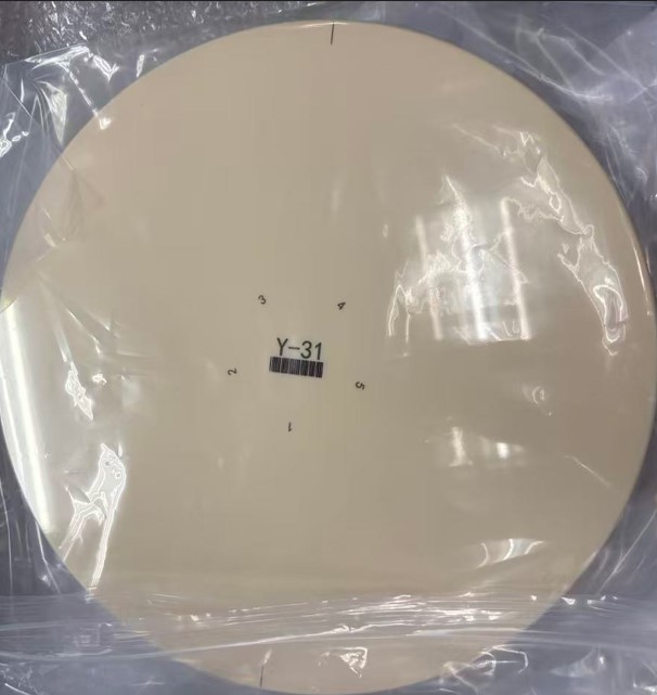 ceramic wafer carrier